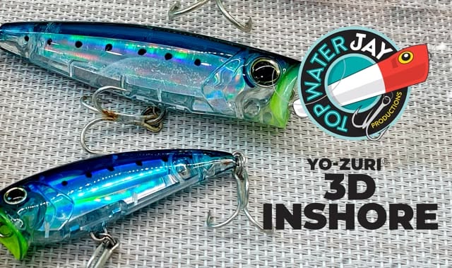 TWJ 3D Inshore 6 19 24 thumbnail