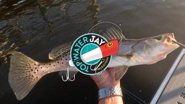 TWJ Palm City 6 7 24 thumbnail