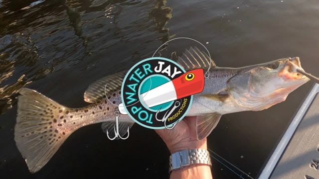 TWJ Palm City 6 7 24 thumbnail